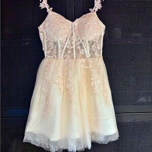 Delicate Blush Lace A-Line Mini Dress